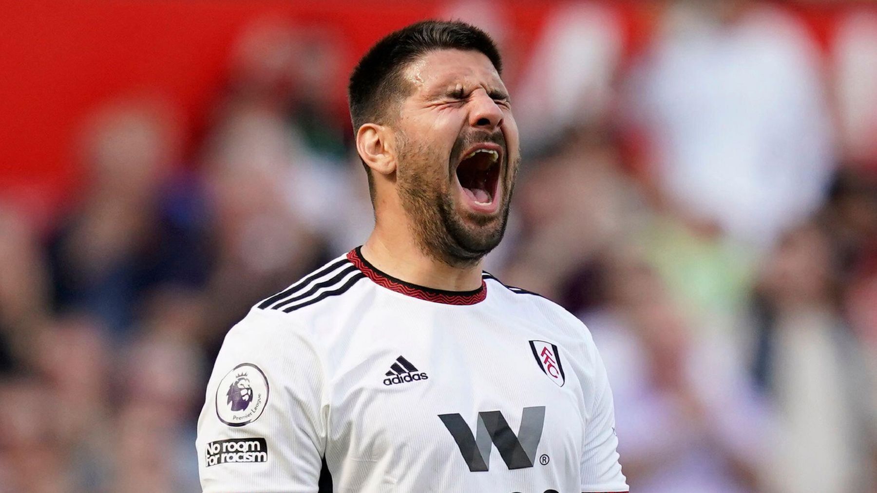 Aleksandr Mitrovic transfer news: Never wants to play for Fulham again