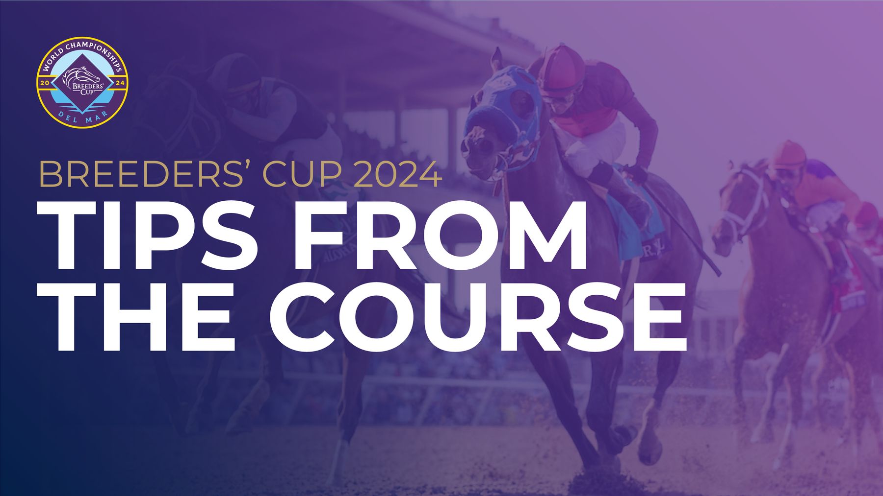 Breeders' Cup 2024 Sporting Life Plus tip in the Breeders' Cup Turf