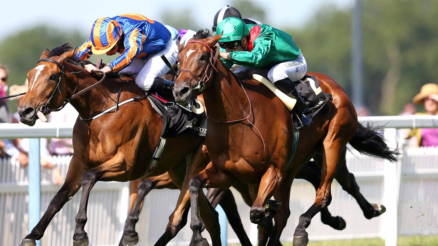 Prix Jacques le Marois preview Pedigree guide