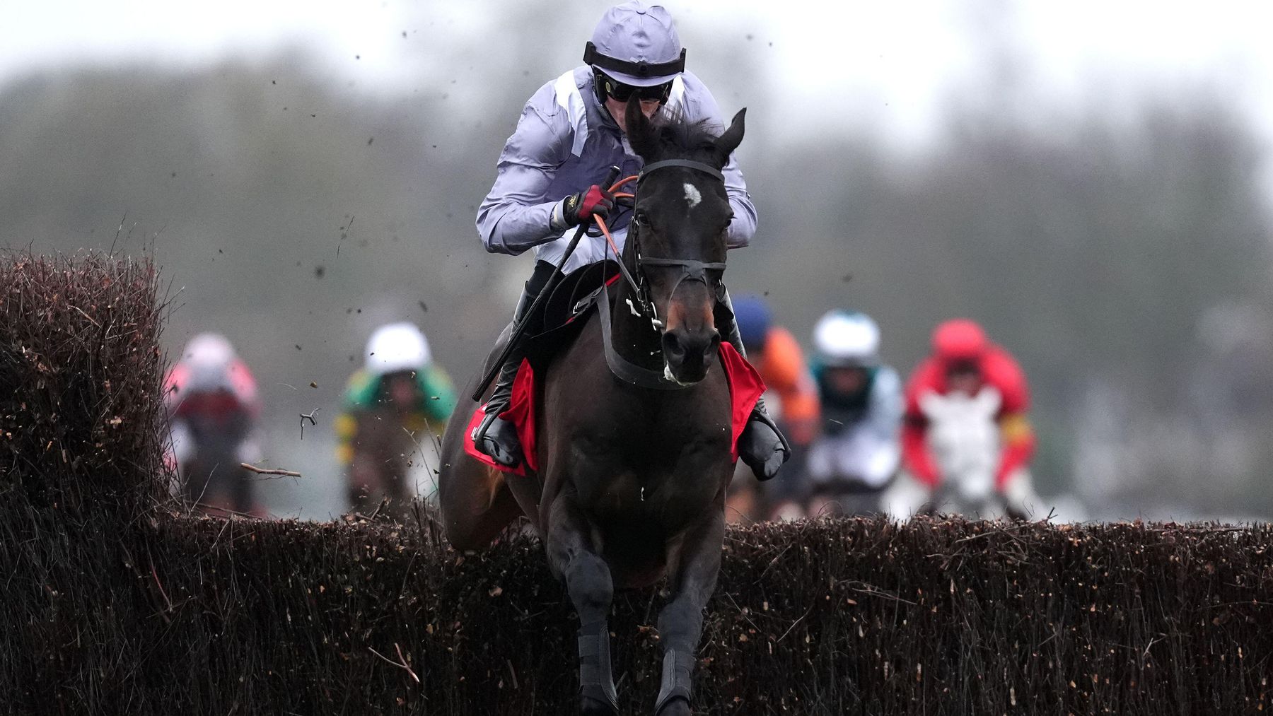 Cheltenham Festival 2025 entries latest news Il Est Francais taken