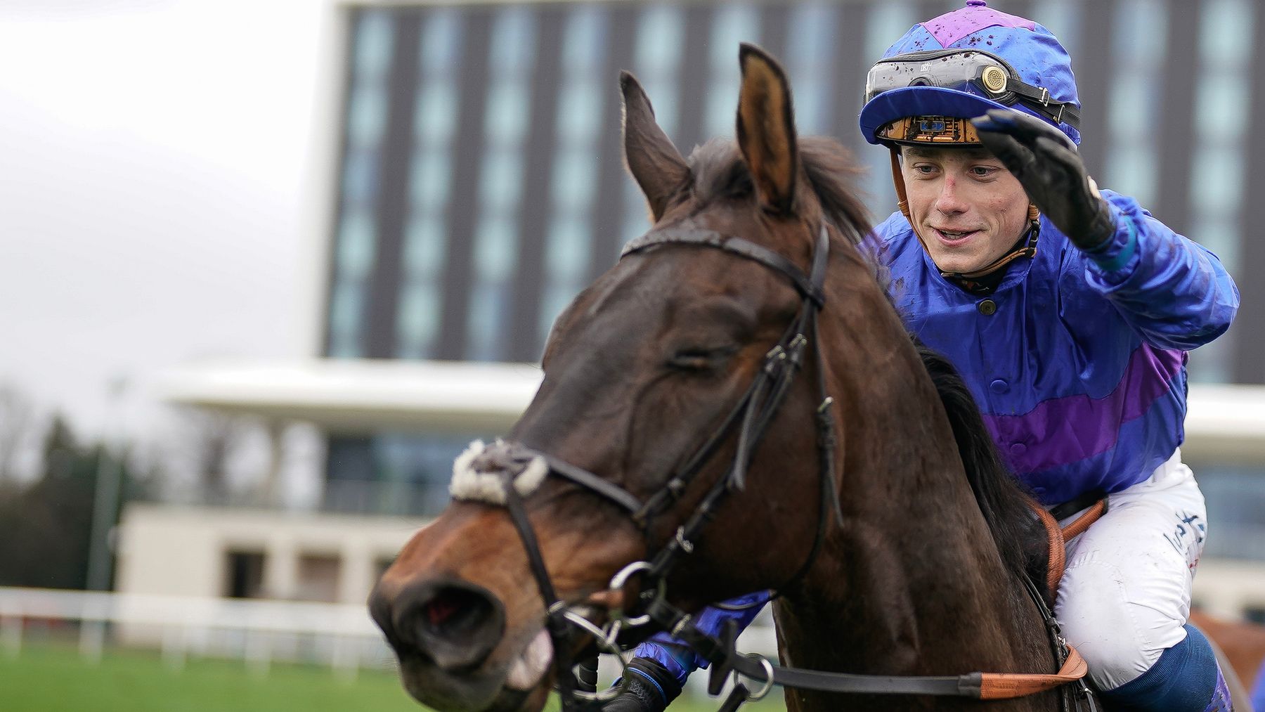 David Menuisier hopeful Migration can recapture sparkle in Lincoln