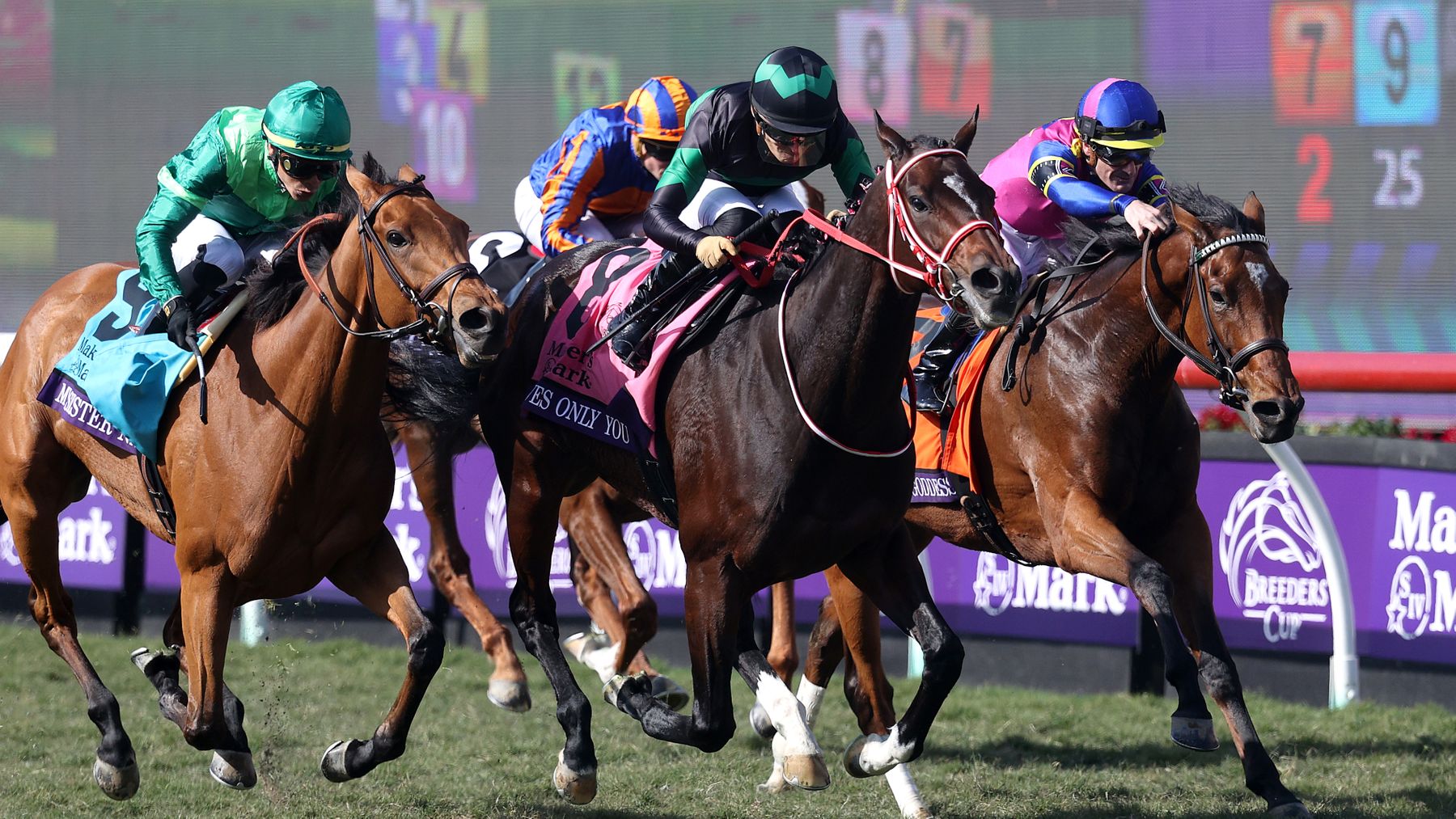 Japan's best chances at the Breeders' Cup 2024 in Del Mar