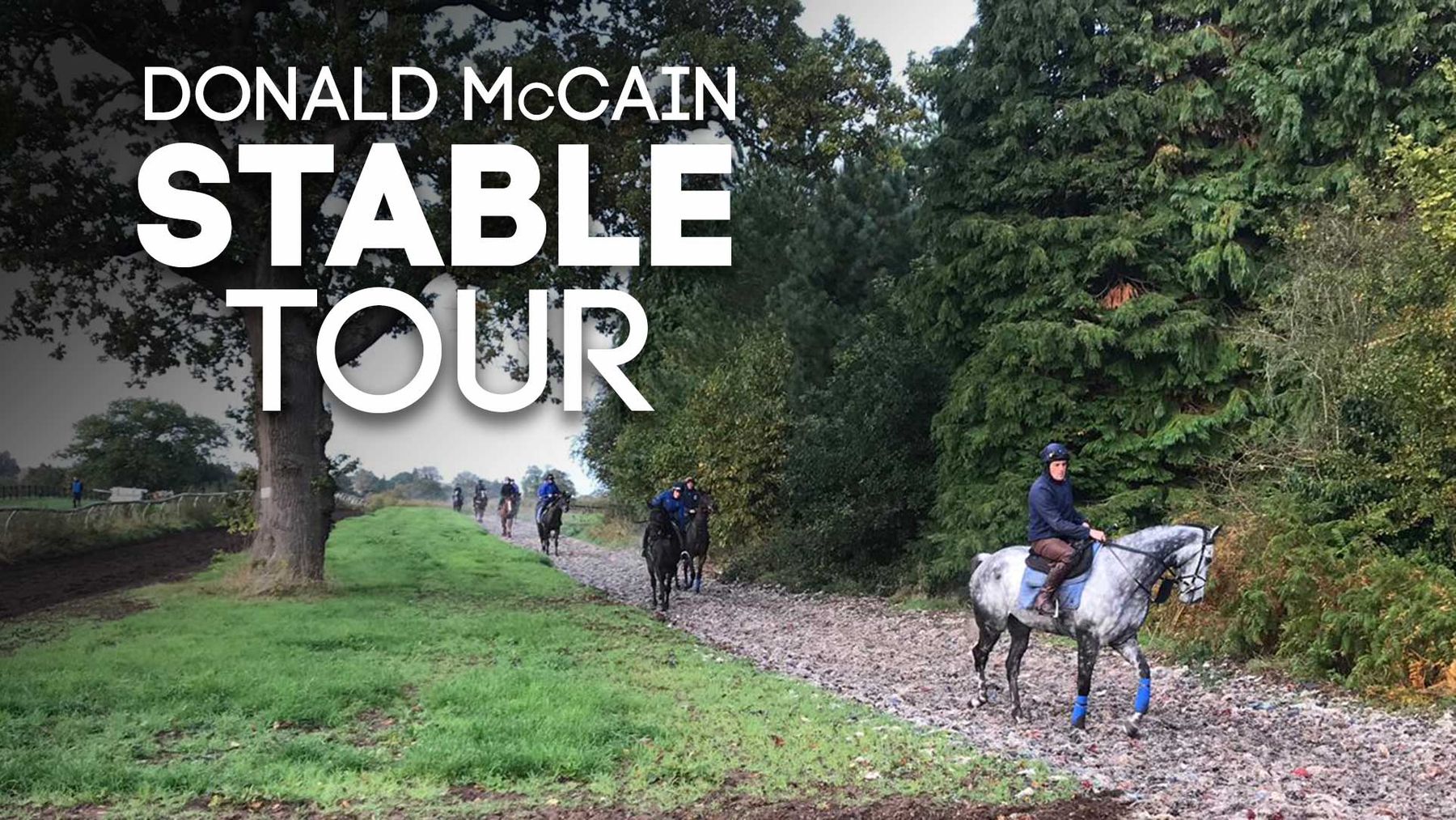 stable tours uk