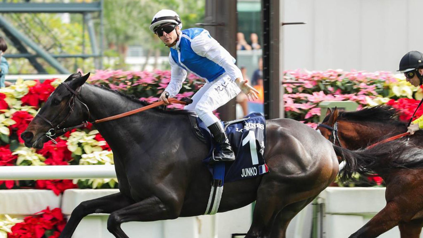 Hong Kong latest following LONGINES HKIR at Sha Tin