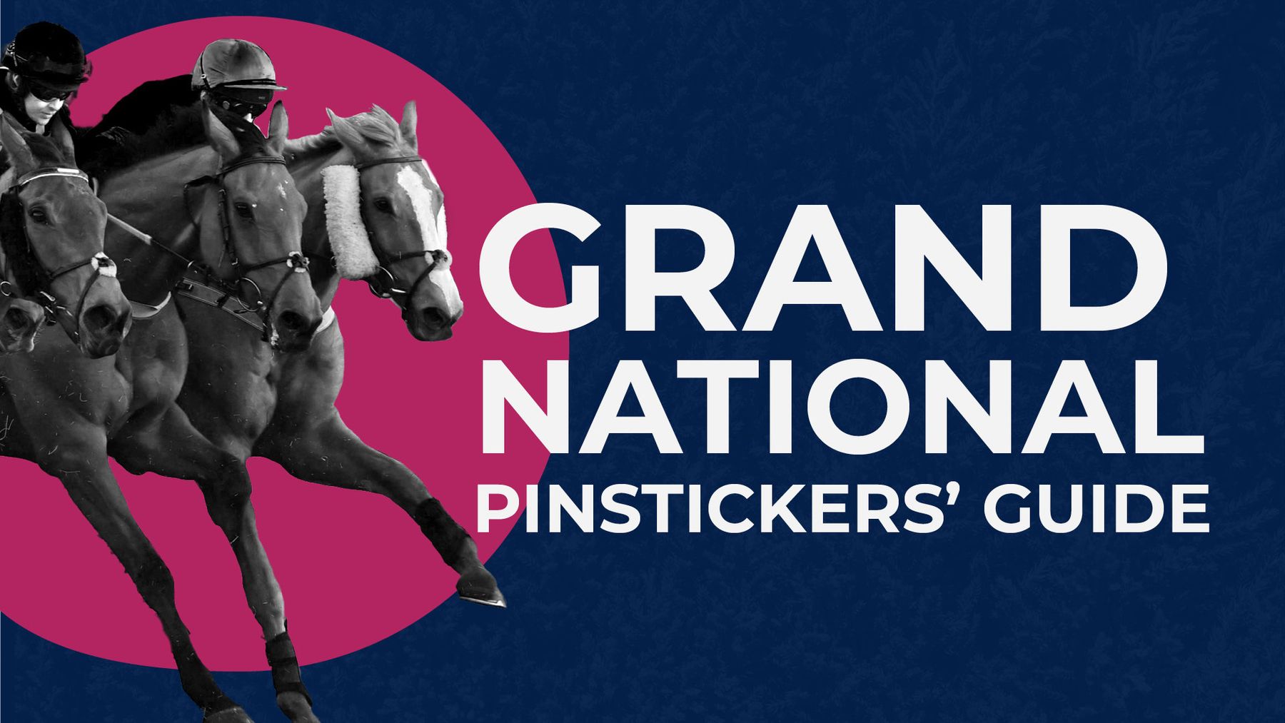 Grand National runners Horsebyhorse preview and tips