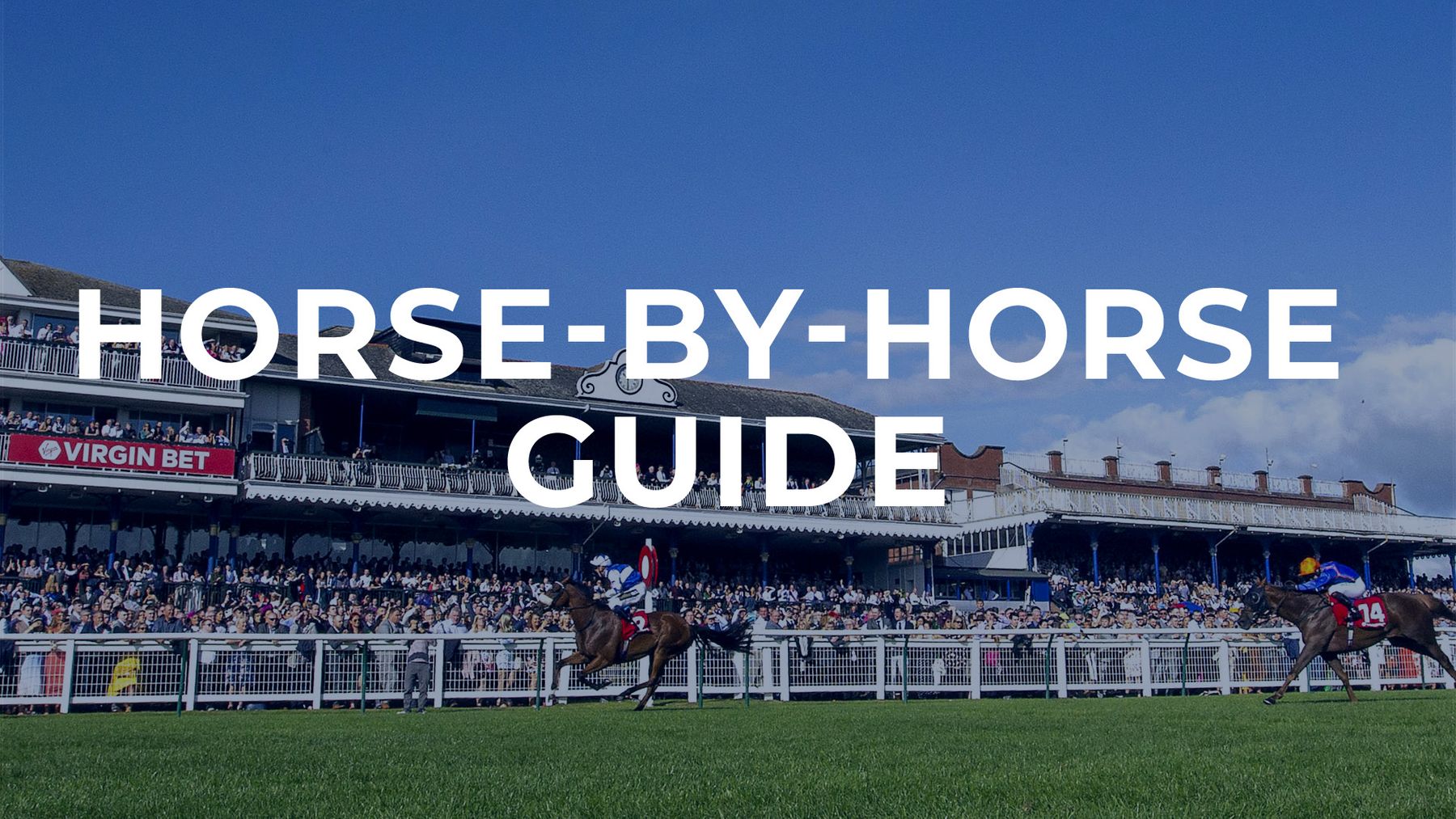 Ayr Gold Cup tips Horse by horse guide and bigrace preview