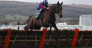 David Ord Profiles The Short Priced Cheltenham Festival Favourites ...