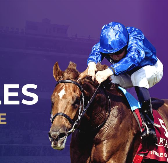 Breeders’ Cup 2024 Team Europe profiles ahead of Del Mar