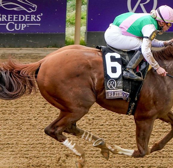 Breeders' Cup preview How solid are the bigrace favourites?