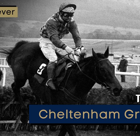 Festival Fever | Timeform Cheltenham Greats: Sea Pigeon