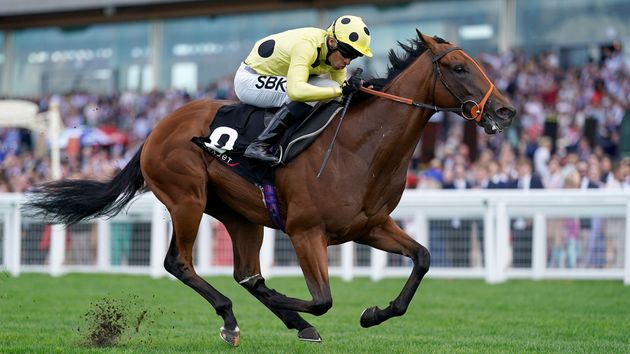 Richard Hannon keen to head to the Curragh with Guineas duo Rosallion ...