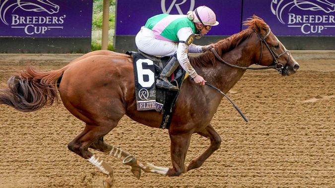 Breeders' Cup Preview: How Solid Are The Big-race Favourites?