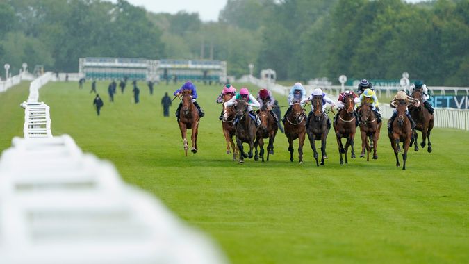 timeform-ratings-three-improvers-with-the-large-p-symbol