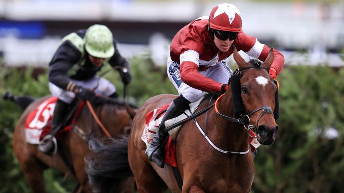 David Ord Profiles The Short Priced Cheltenham Festival Favourites ...