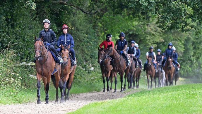 Rosallion leading the string this morning (Cedit: Francesca Altoft)