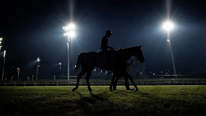 Early exercise for Romantic Warrior (Alex Evers for HKJC).