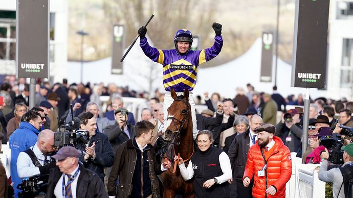 Northern stars bound for the 2024 Cheltenham Festival including Corach