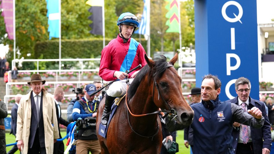 Bay Bridge returns to the winner's enclosure