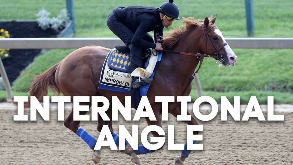 Improbable limbers up for the Preakness