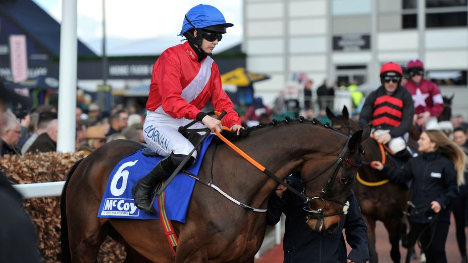 Ballyadam - good Cheltenham record