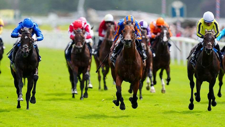 The Lion In Winter (centre) beats Wimbledon Hawkeye (right) and Ruling Court (left) at York