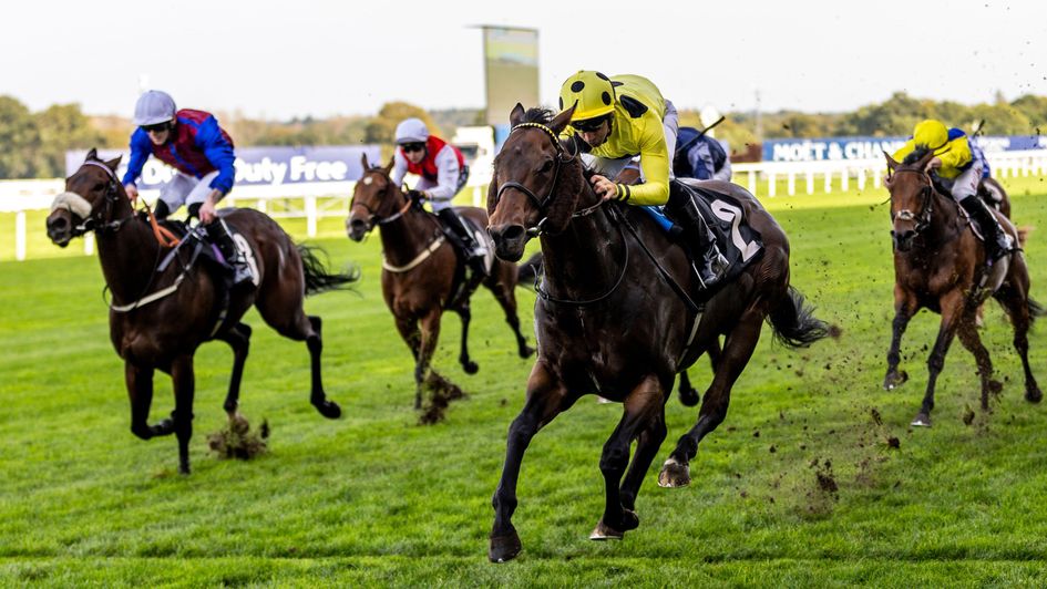 Emaraaty Ana wins at Ascot