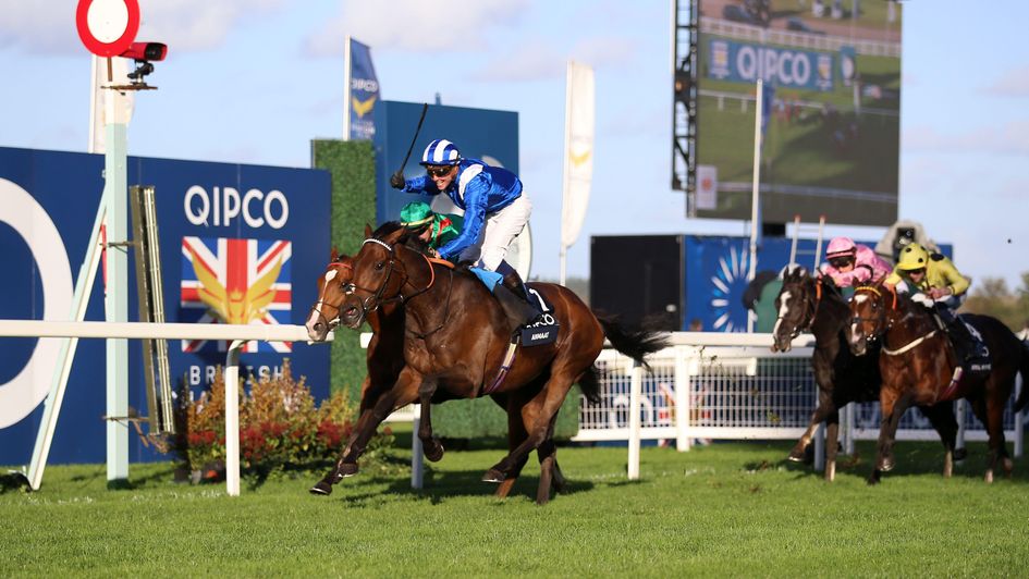 Anmaat wins the Champion Stakes