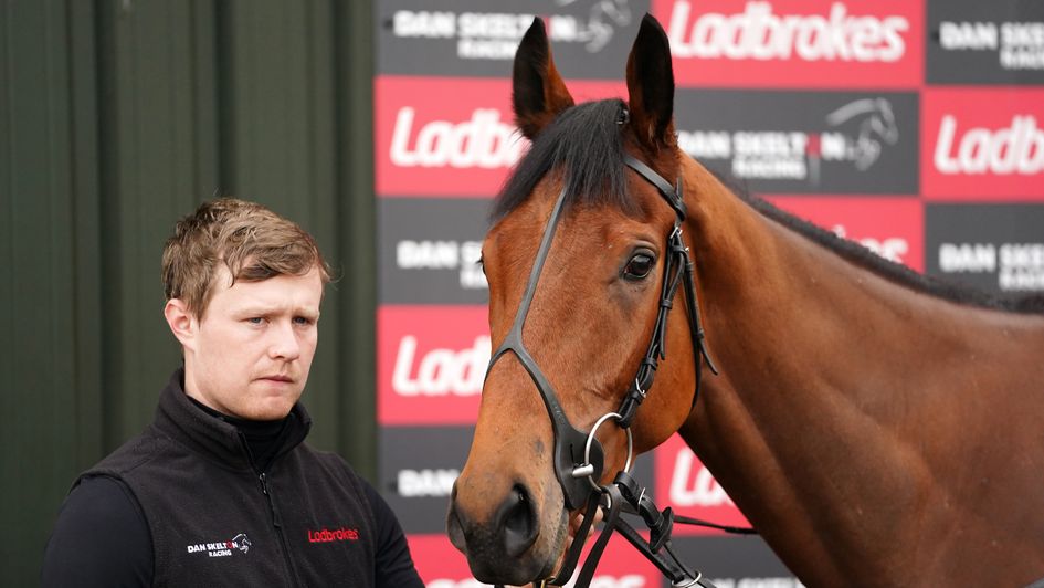 Triumph Hurdle hope Doctor Parnassus