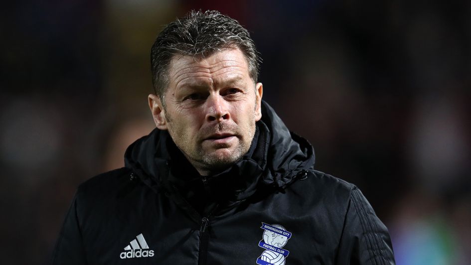 Steve Cotterill during his time at Birmingham