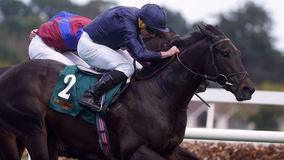 Battle Cry ridden by jockey Ryan Moore