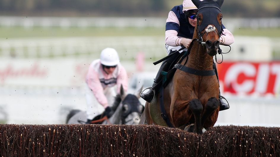 Singlefarmpayment: Loves Cheltenham