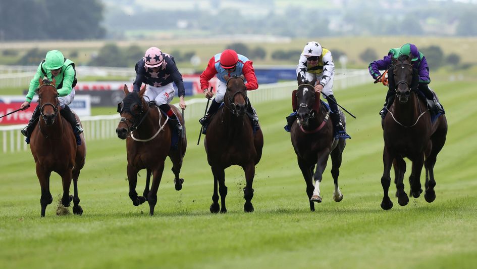 My Mate Alfie (second from left) gets up to win at the Curragh