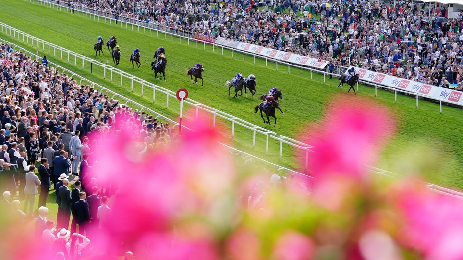 Middle Earth wins the Sky Bet Melrose