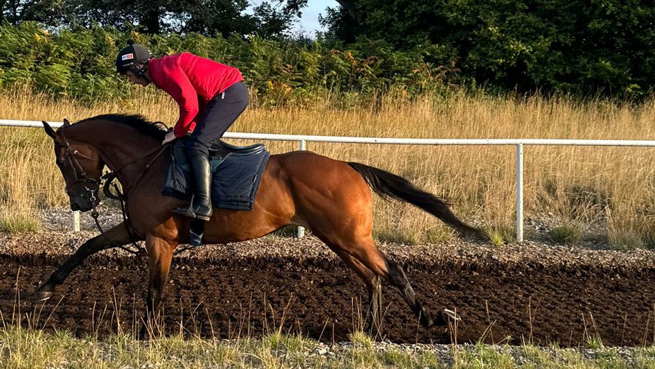 Daryl Jacob back on the gallops