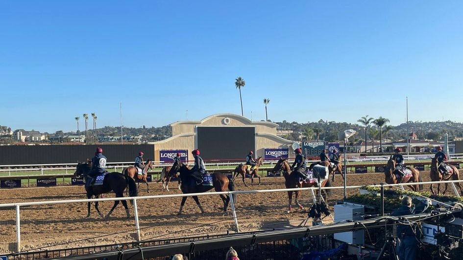 Another beautiful morning at Del Mar