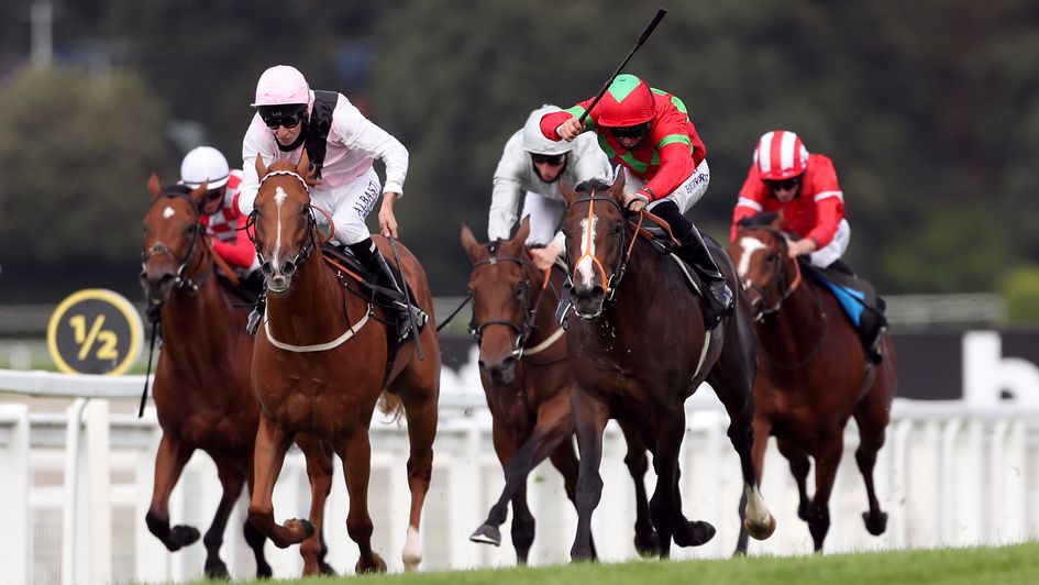 Apollo One (pink and black) is the headline bet on Finals Day