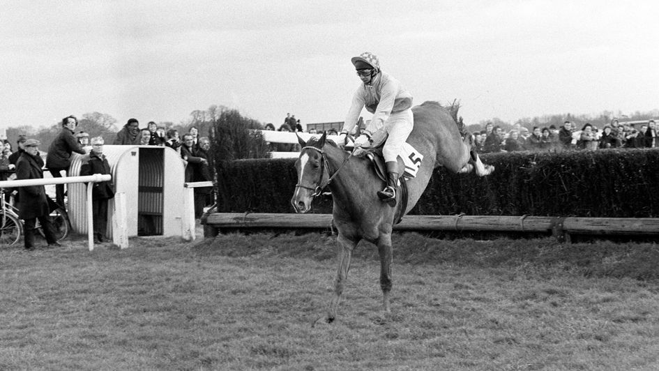 Captain Christy wins his first King George in 1974