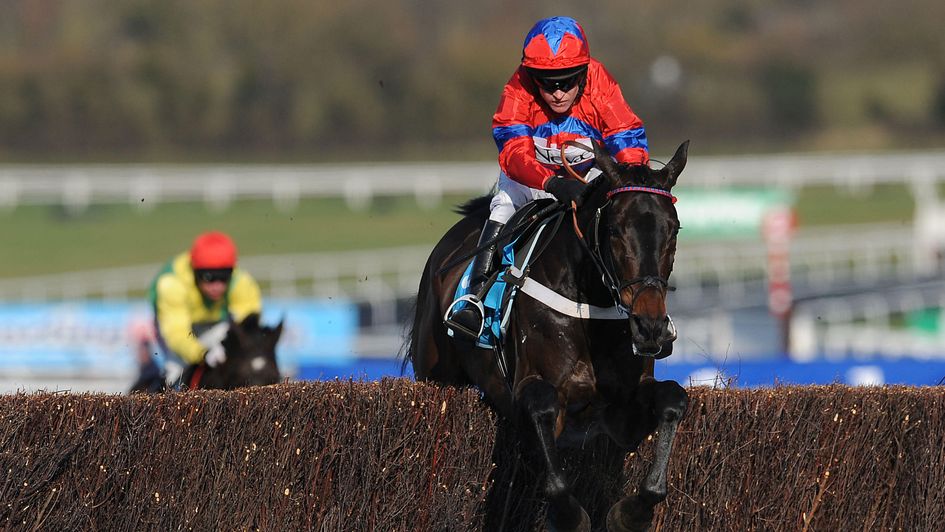 Sprinter Sacre is magnificent in the 2013 Champion Chase