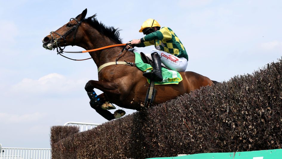 Mark Of Gold wins at Sandown