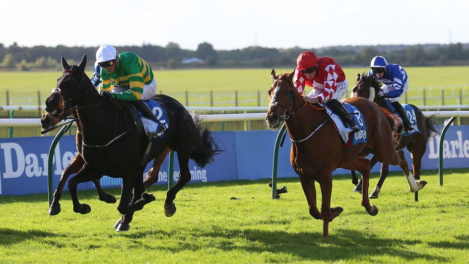 The Shunter lands the Cesarewitch