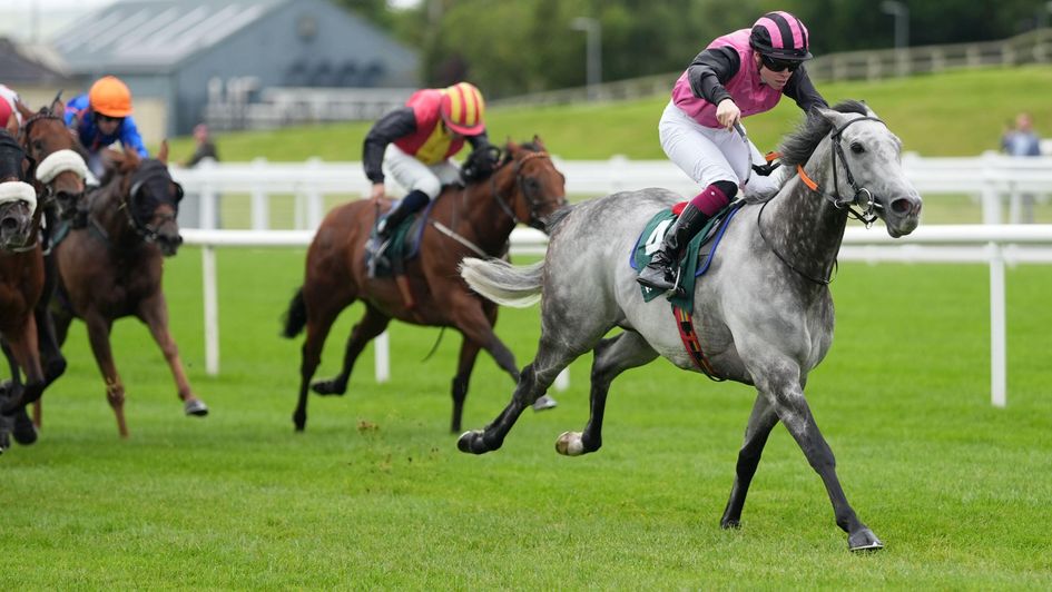 Big Gossey wins at the Curragh again