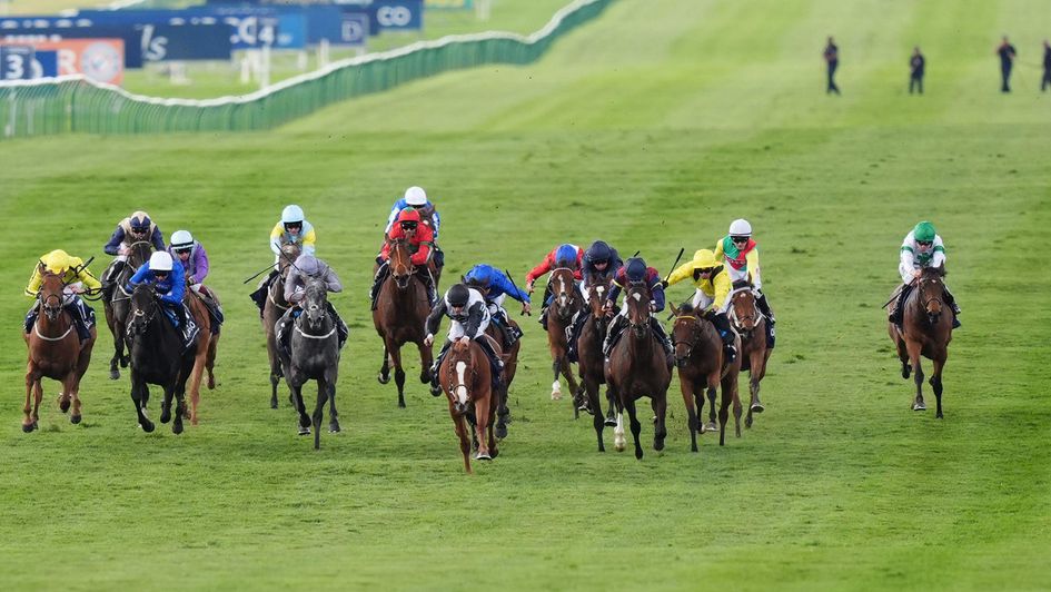Tamfana (far right) came home strongly at Newmarket