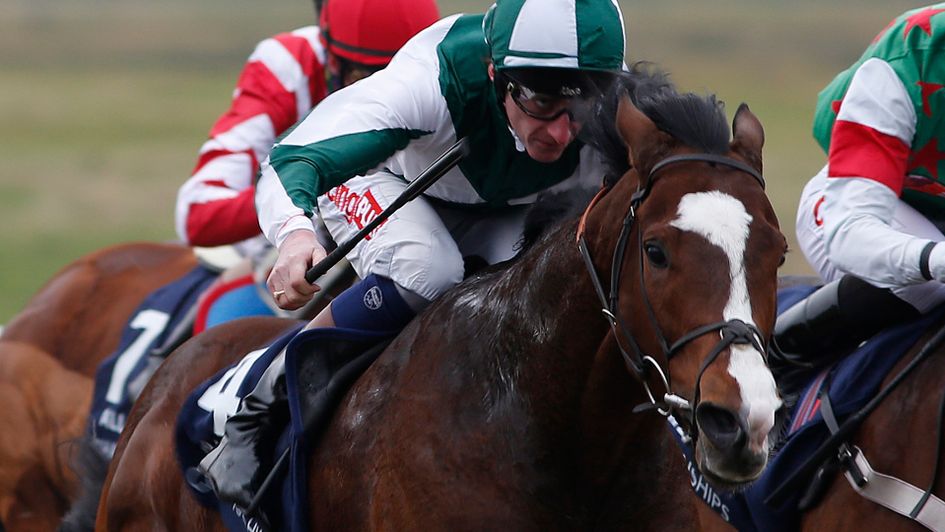 Mr Bossy Boots pictured in his previous silks