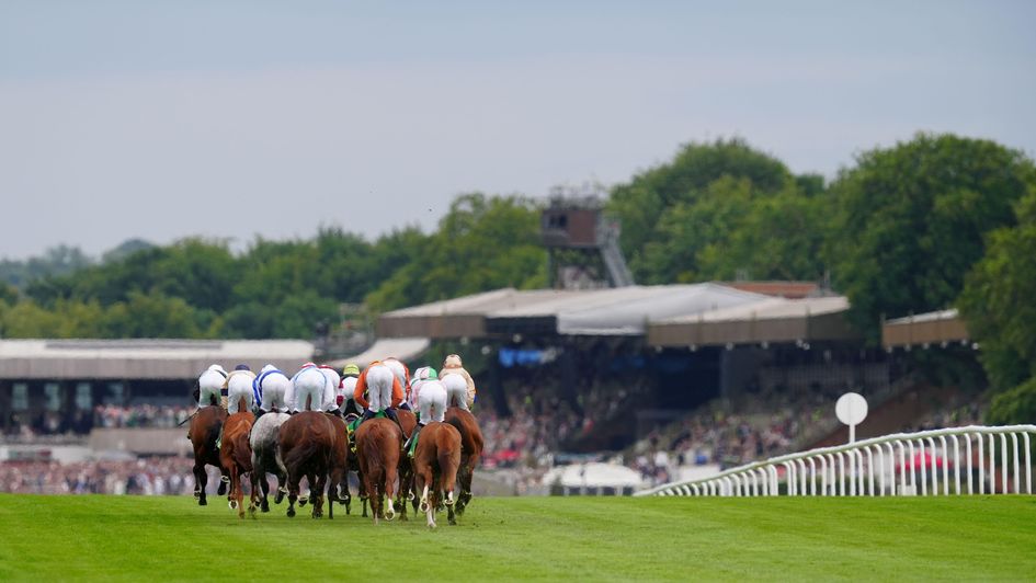 Horses running on day two of the July Festival at Newmarket