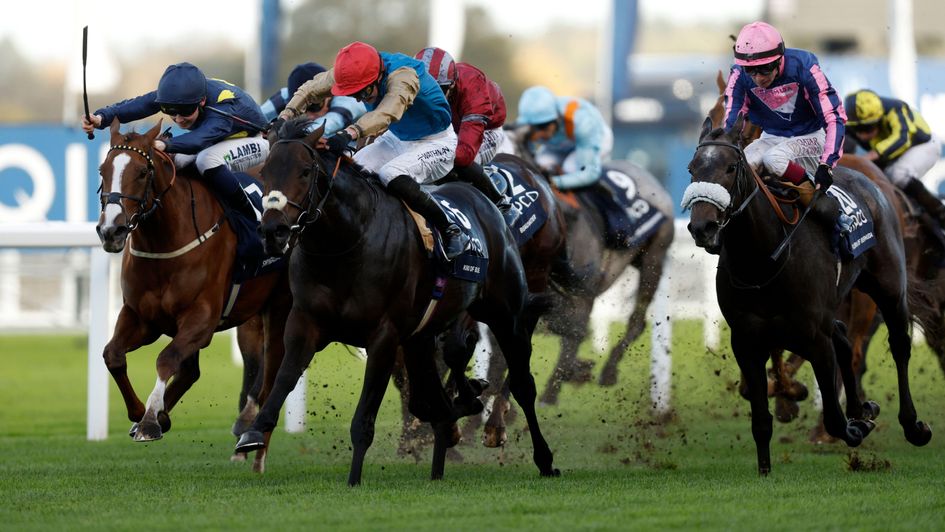 Kind Of Blue (red cap) wins the Champions Sprint