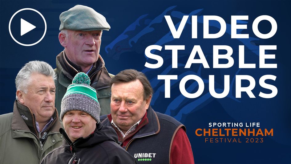 Watch the Cheltenham Festival Live at The Thatched Tavern Honeybourne –  Tuesday 14th to Friday 17th February – Thatched Tavern Honeybourne