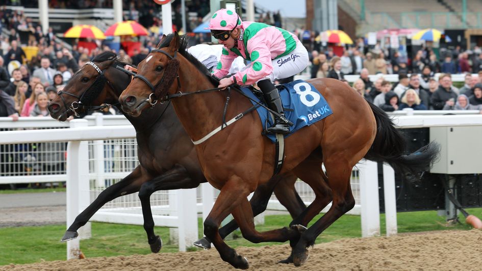 We Never Stop edges a thriller