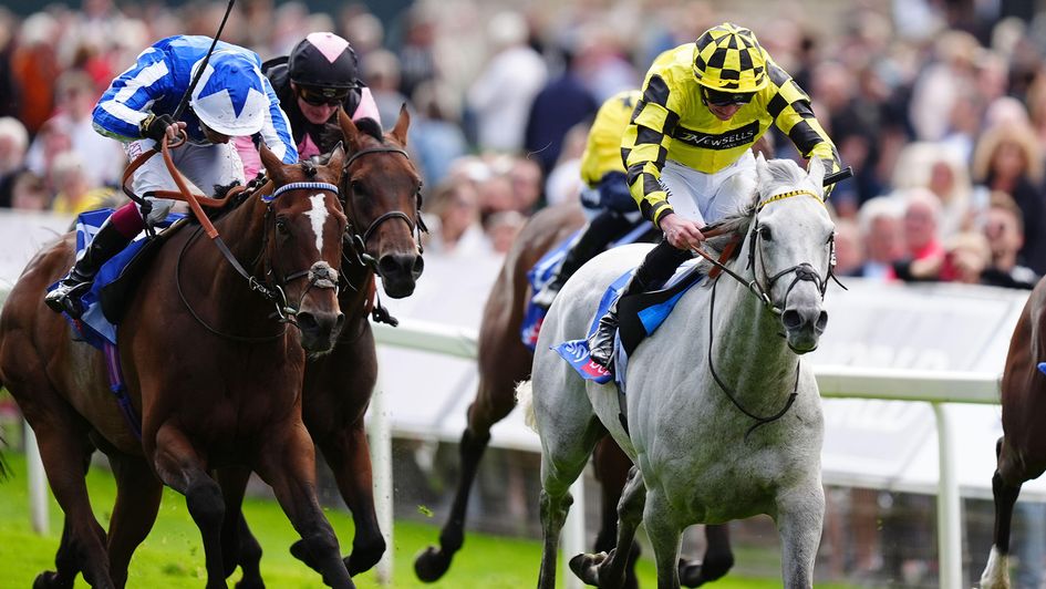 Shadow Dance (right) wins the first at York on Friday