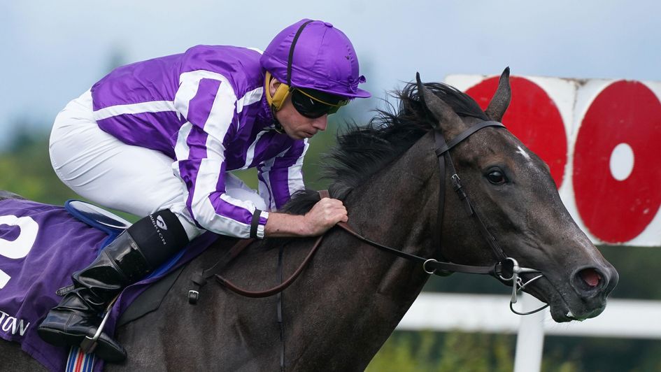 Bedtime Story scores at Leopardstown