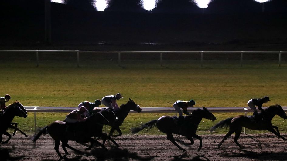 They race under the floodlights at Chelmsford